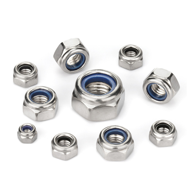 Ss Nylon Lock Nut